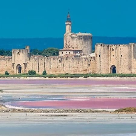 Studio En Petite Camargue Le Cailar Exterior foto